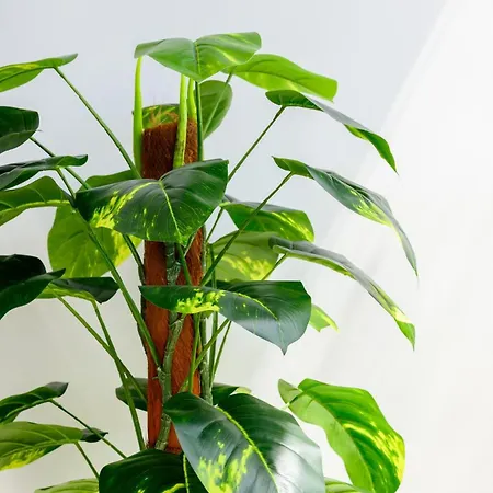 דירה F8 Spacious Flat