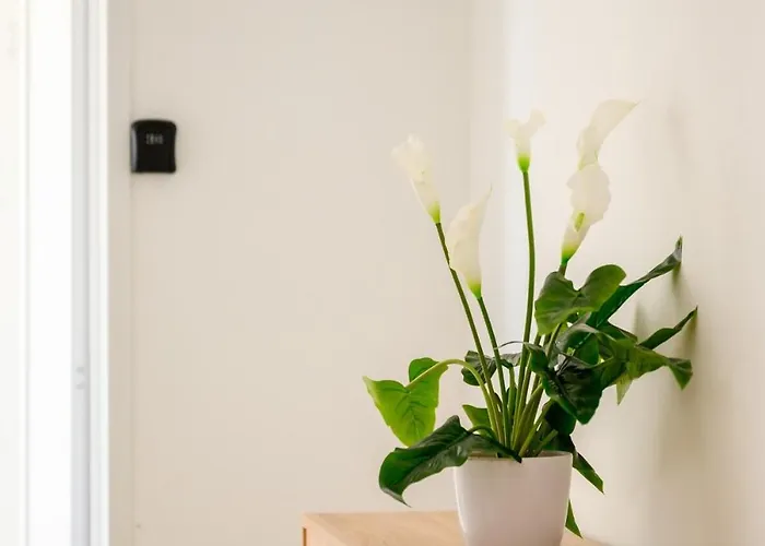 Apartamento F8 Spacious Flat Sliema