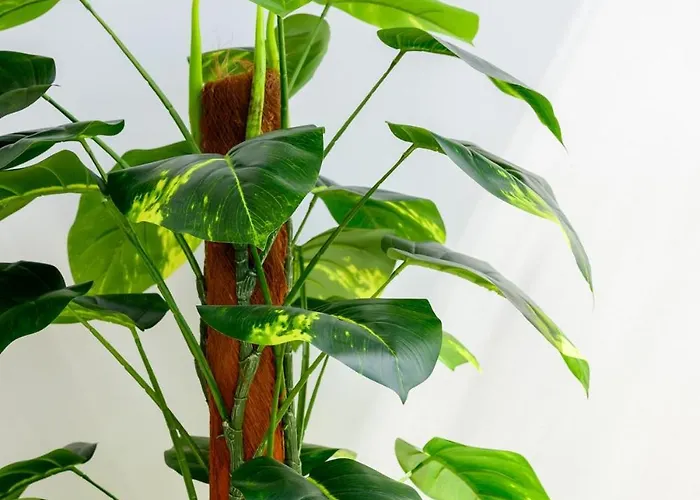 Apartamento F8 Spacious Flat