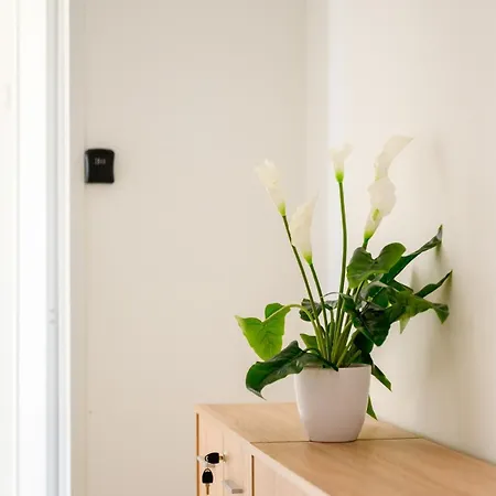 Lägenhet F8 Spacious Flat Sliema